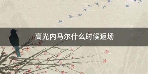 高光内马尔什么时候返场