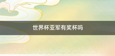 世界杯亚军有奖杯吗