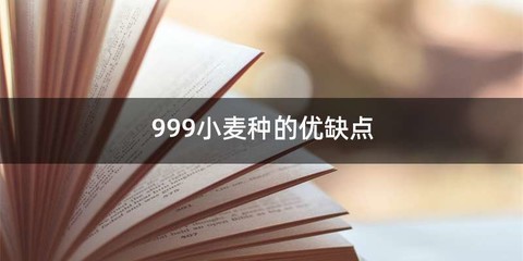 999小麦种的优缺点