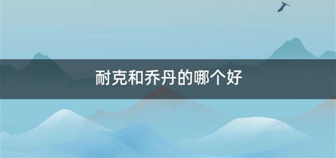耐克和乔丹的哪个好