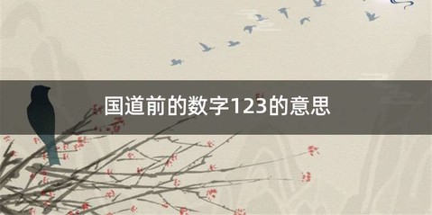 国道前的数字123的意思