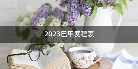 2023巴甲赛程表