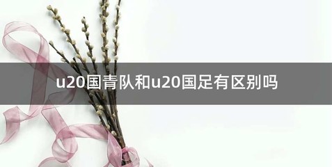 u20国青队和u20国足有区别吗