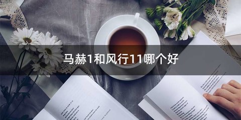 马赫1和风行11哪个好