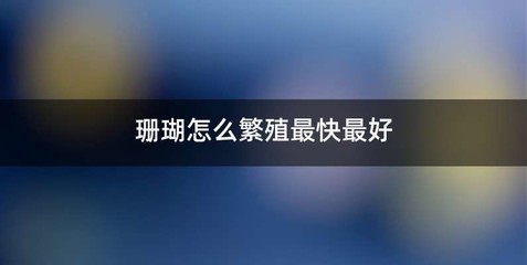 珊瑚怎么繁殖最快最好