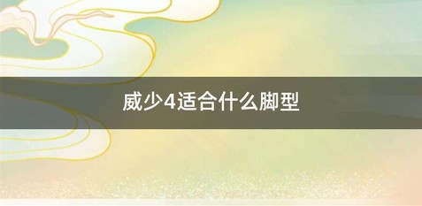 威少4适合什么脚型