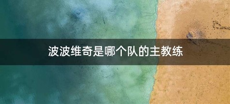 波波维奇是哪个队的主教练