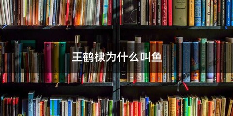王鹤棣为什么叫鱼