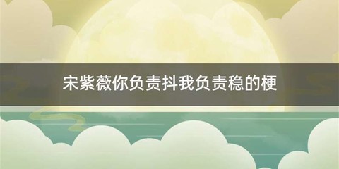 宋紫薇你负责抖我负责稳的梗