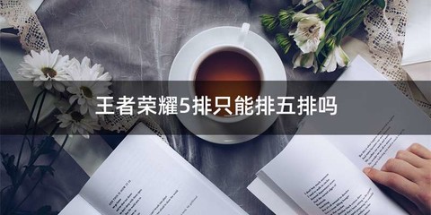王者荣耀5排只能排五排吗