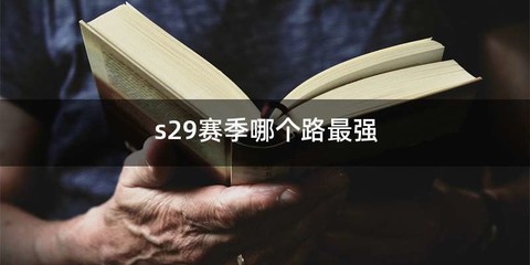 s29赛季哪个路最强