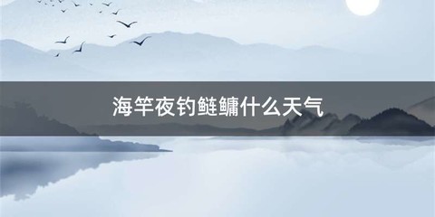海竿夜钓鲢鳙什么天气