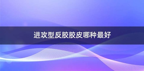 进攻型反胶胶皮哪种最好
