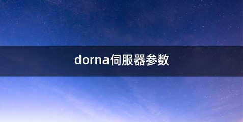 dorna伺服器参数