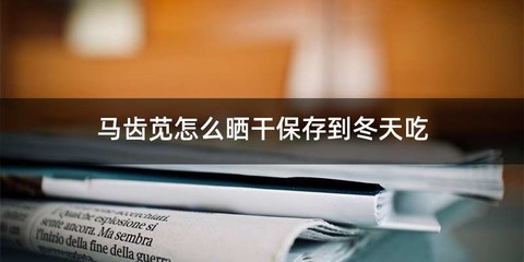 马齿苋怎么晒干保存到冬天吃