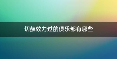 切赫效力过的俱乐部有哪些