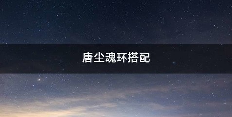 唐尘魂环搭配