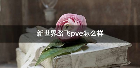 新世界路飞pve怎么样