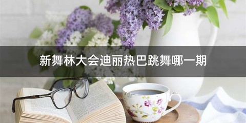 新舞林大会迪丽热巴跳舞哪一期