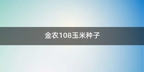 金农108玉米种子