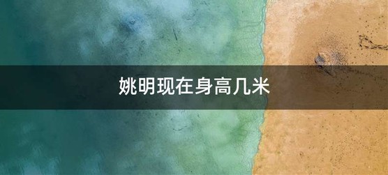 姚明现在身高几米
