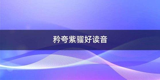 矜夸紫骝好读音