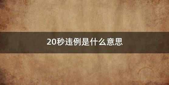 20秒违例是什么意思