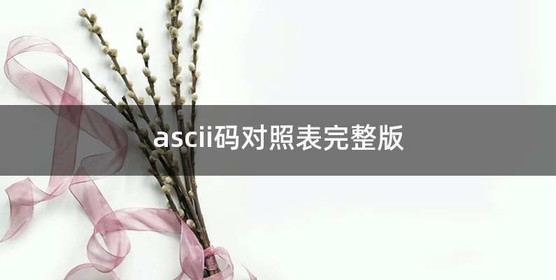 ascii码对照表完整版