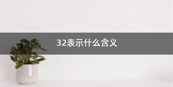 32表示什么含义