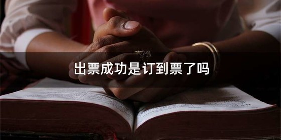 出票成功是订到票了吗