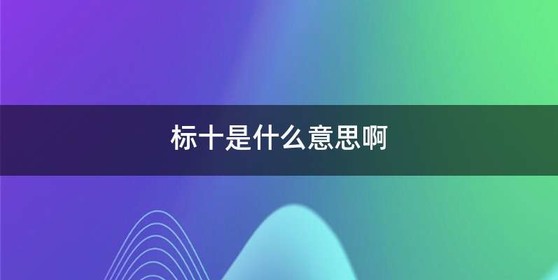 标十是什么意思啊