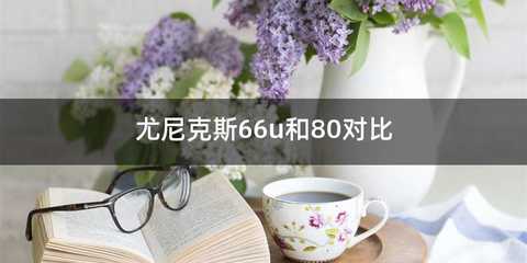尤尼克斯66u和80对比