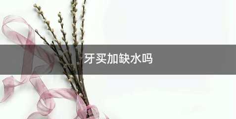 牙买加缺水吗