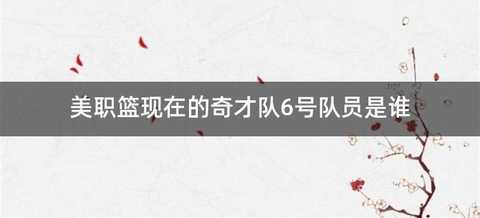 美职篮现在的奇才队6号队员是谁