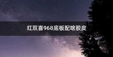 红双喜968底板配啥胶皮