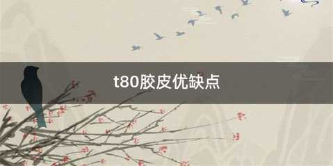 t80胶皮优缺点