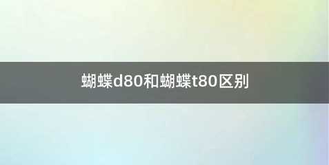 蝴蝶d80和蝴蝶t80区别