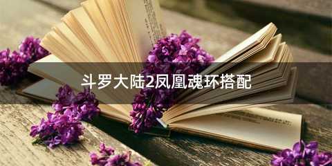 斗罗大陆2凤凰魂环搭配