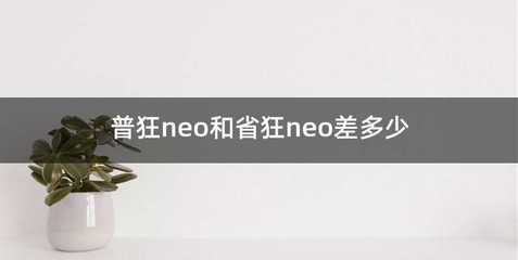 普狂neo和省狂neo差多少