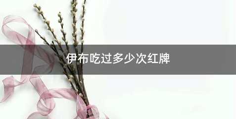 伊布吃过多少次红牌
