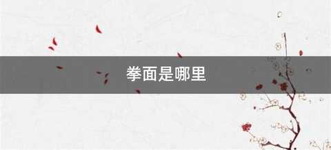 拳面是哪里