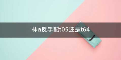 林a反手配t05还是t64
