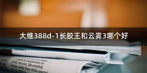 大维388d-1长胶王和云雾3哪个好