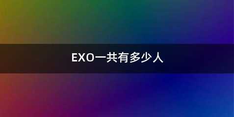 EXO一共有多少人