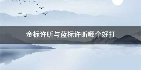 金标许昕与蓝标许昕哪个好打