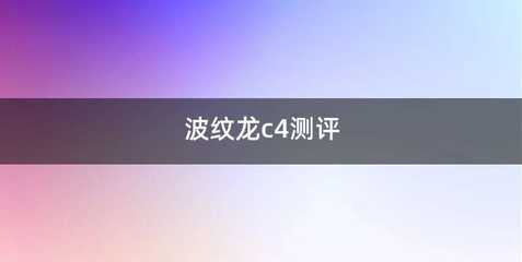 波纹龙c4测评
