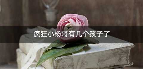 疯狂小杨哥有几个孩子了