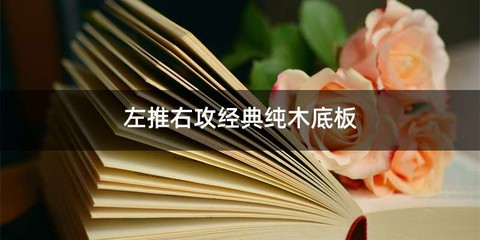 左推右攻经典纯木底板