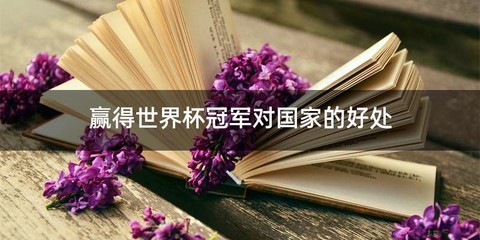 赢得世界杯冠军对国家的好处