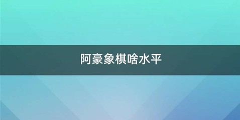 阿豪象棋啥水平